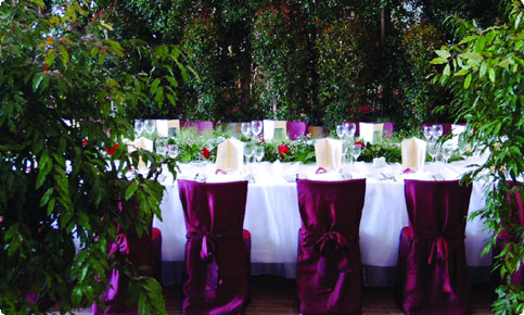 Exklusives Catering in der Orangerie Schönbrunn