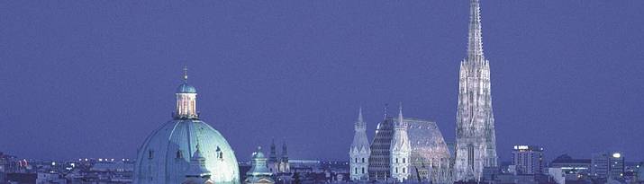 Über den Dächern von Wien - der Wiener Stephansdom