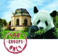 PAQUETE 3: Visita guiada nocturna del zoológico, cena y concierto