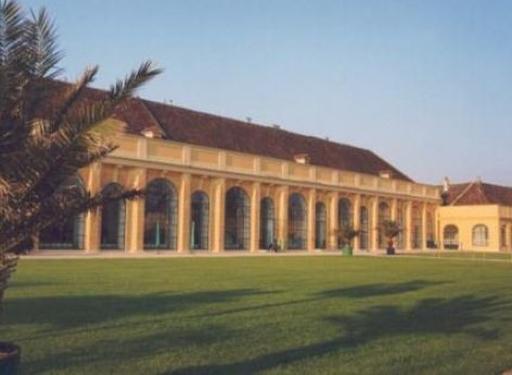 La Orangerie de Schönbrunn - el lugar donde se celebran los conciertos desde el exterior; en primer plano se ve el prado verde; a la izquierda, la hoja de una palmera; al fondo, parte de la Orangerie donde se celebran los conciertos de música clásica.