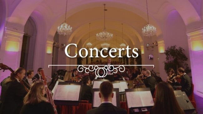 View from the orchestra during a classical concert in the Schoenbrunn Orangery Vienna